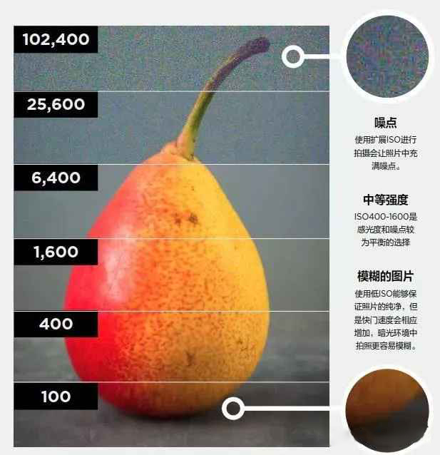 摄影新手需要了解的相机基本参数以及对应的效果