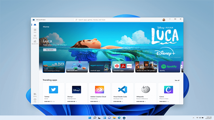 WINDOWS 11